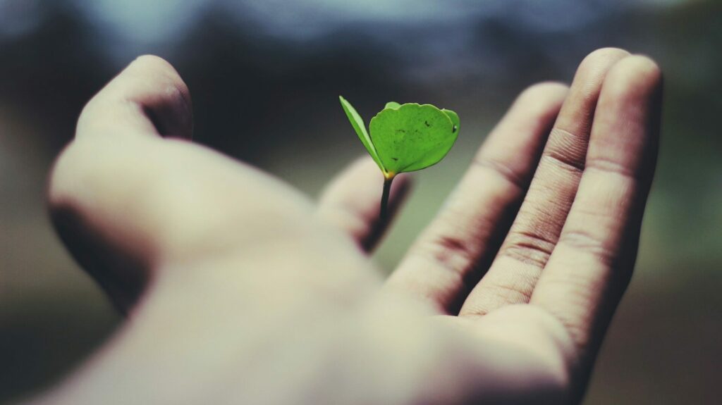Learn about growth mindset workshops here.