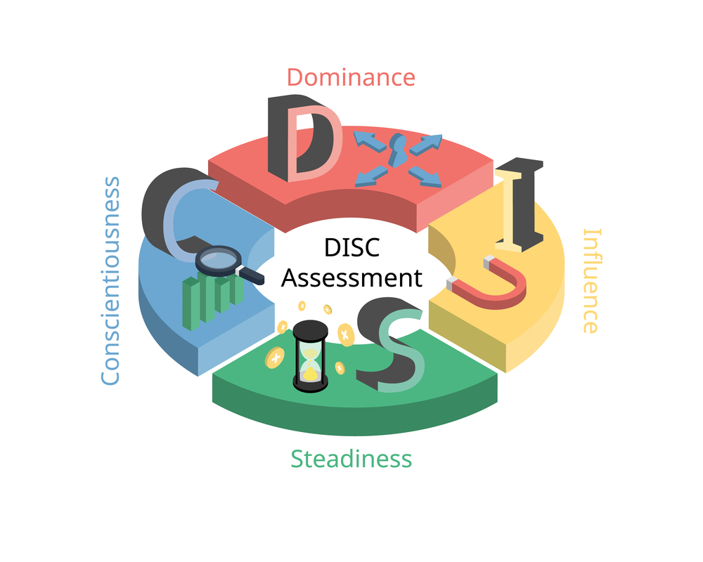 DISC Profile Leadership Program