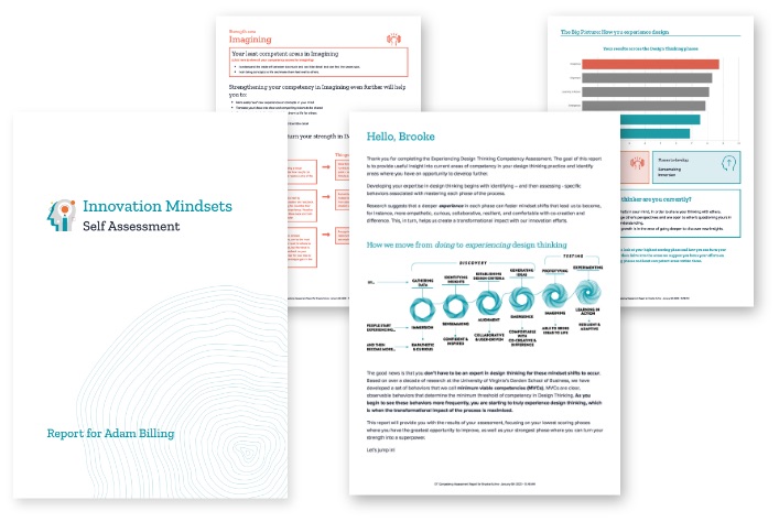 Innovation Mindsets Assessment Report