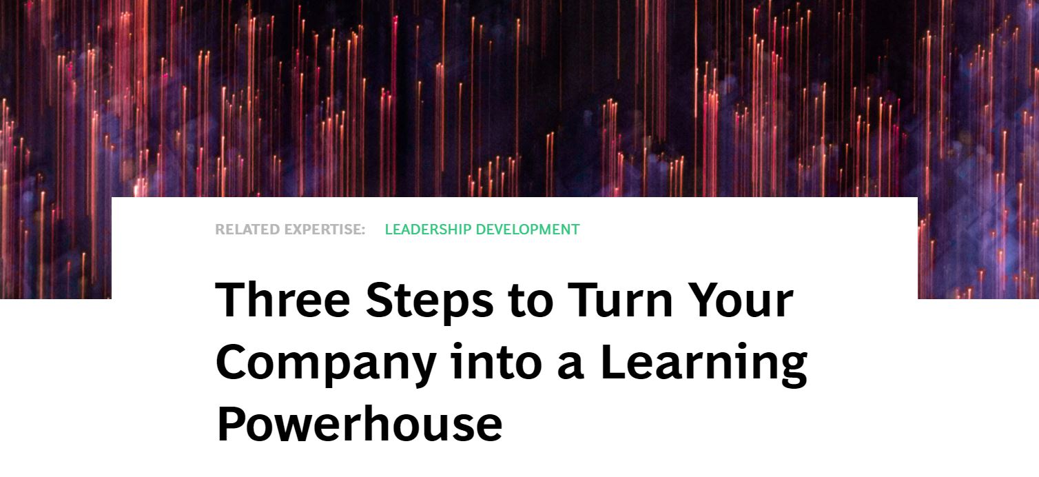 BCG 2020 Report: Three Steps to Organizational Learning