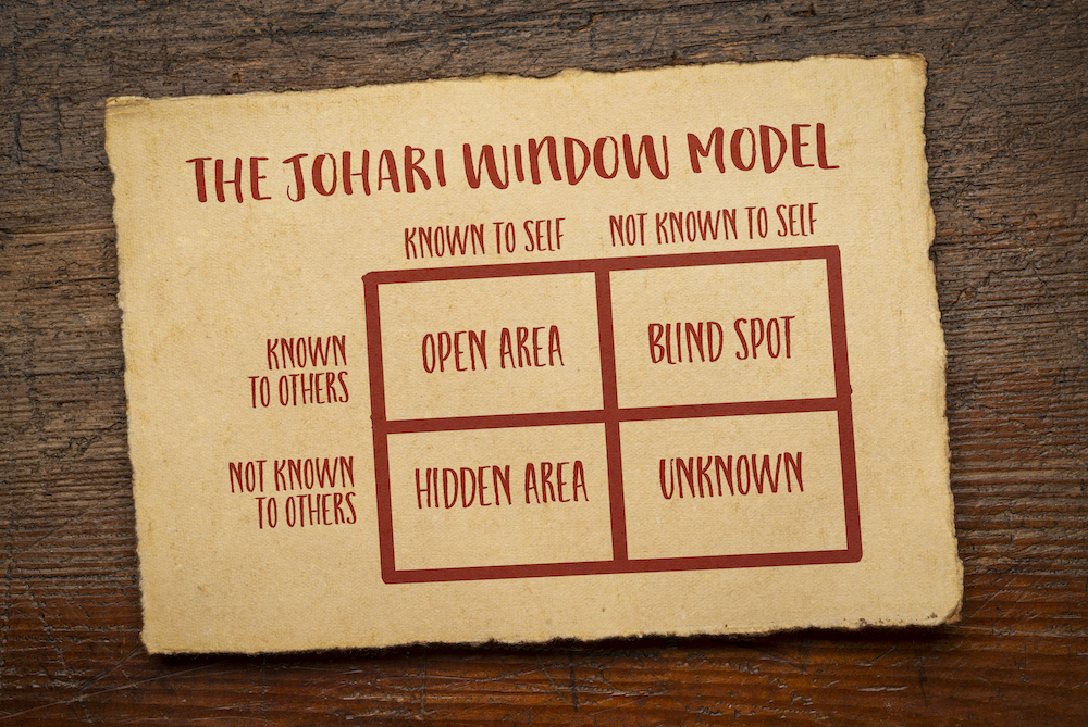 Johari Window Training Guide
