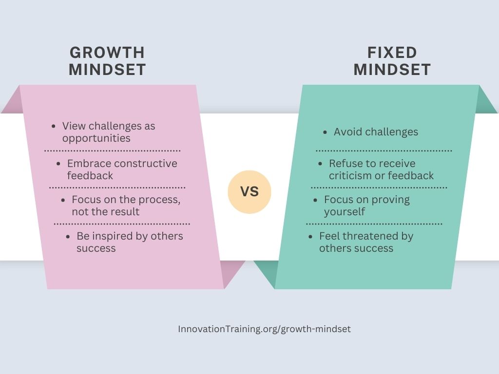 Growth Mindset Workshop Training